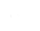 serviços